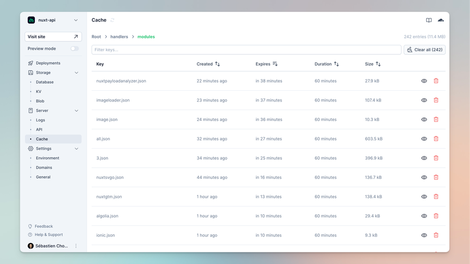 NuxtHub Deployment Details